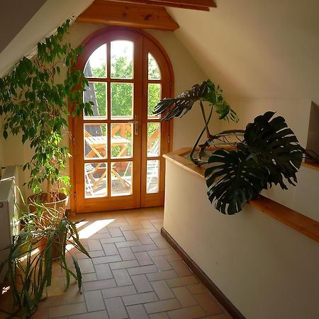 Aranyhaz Apartmanszallas Tihany Exterior foto
